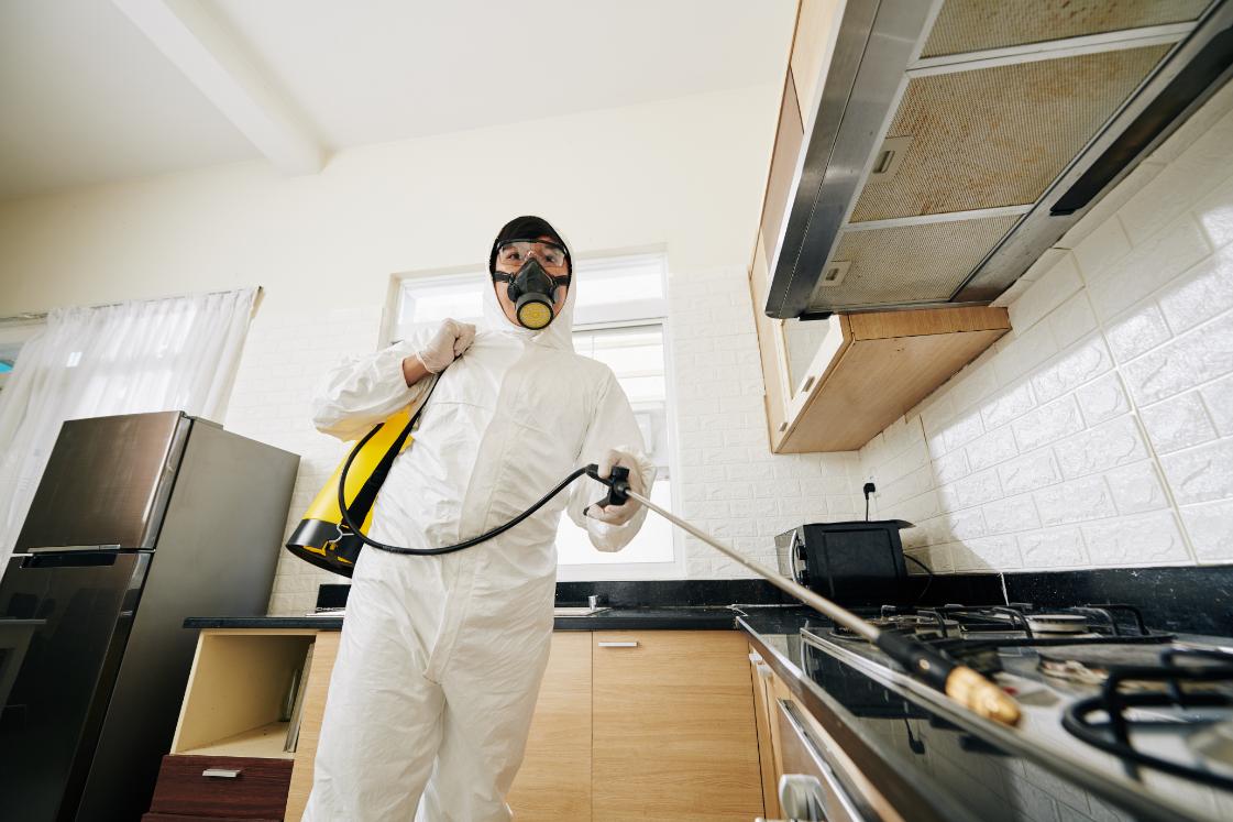 Technician performing pest control treatment in kitchen